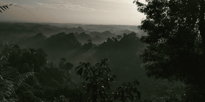 Cagar Alam Sibolangit