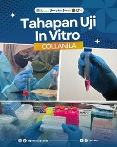Dari Limbah Sisik Ikan Nila, Mahasiswa UMY Ciptakan Terobosan untuk Luka Diabetes